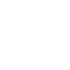 icon_cameras